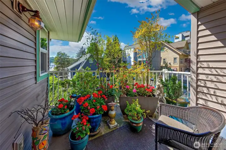 Lower level quiet private deck perfect for reading a book