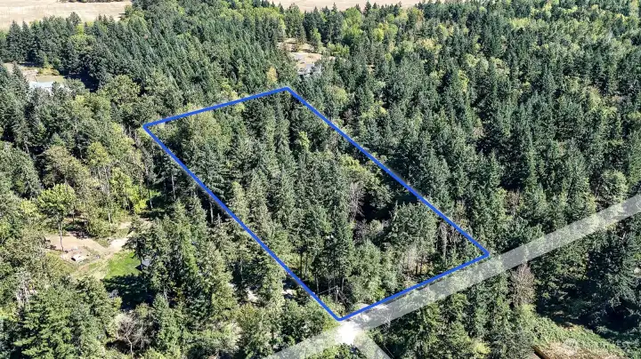 Property lines are estimated buyer  to verify all information