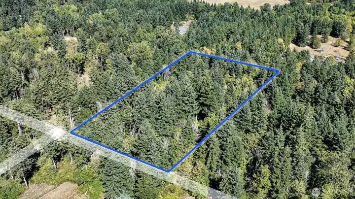 Property lines are estimated buyer  to verify all information