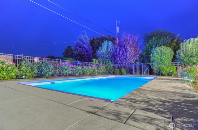A beautiful 7' deep pool and huge surround.