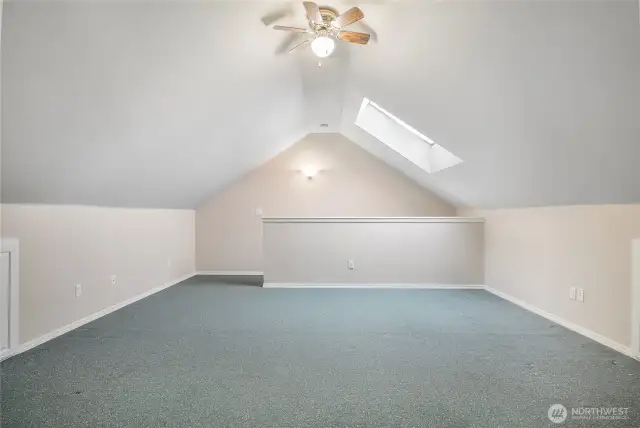 Another angle of this bedroom above the garage with skylights and mass storage and 2 closets.