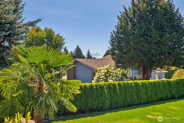Mount Rainier smiles down on you as you rest on your covered backyard deck!