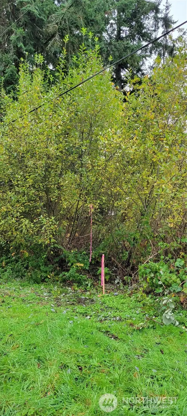 Picture taken last summer