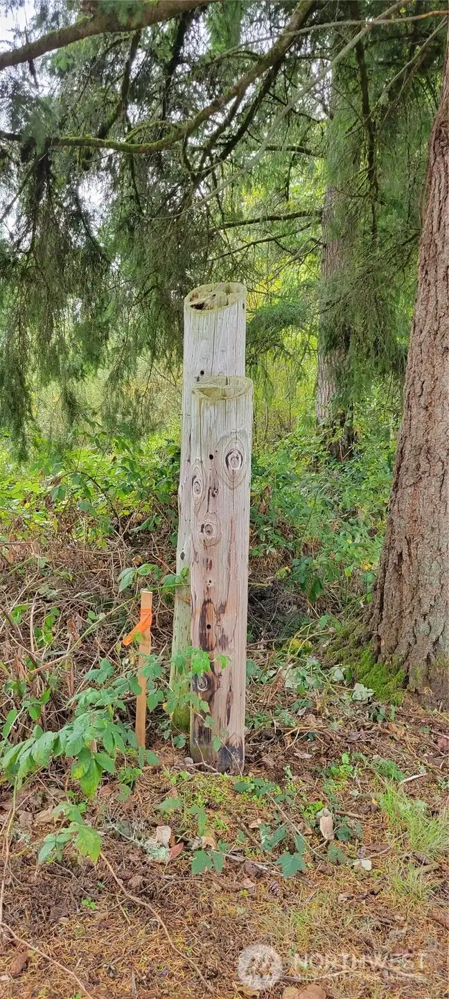 Approximate corners are staked