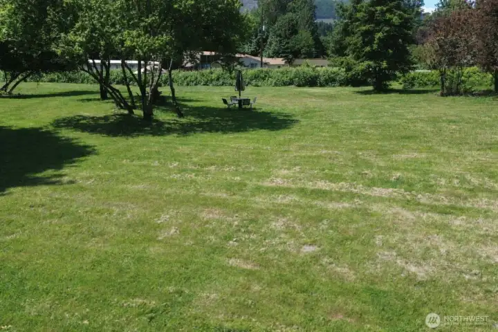 Lots of mowed areas for future uses Lots of mowed areas for future uses