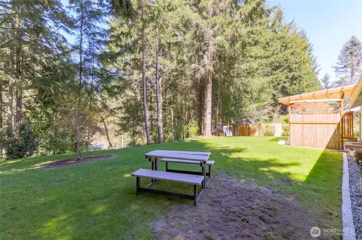 Afternoon shade offers a great place to play. (Dirt to the right of the picnic table where septic was dug up to pump)
