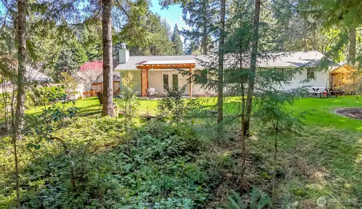 A view from the trees behind the yard.