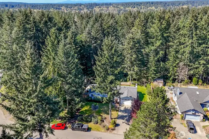 Aerial view gives another perspective of behind the house.