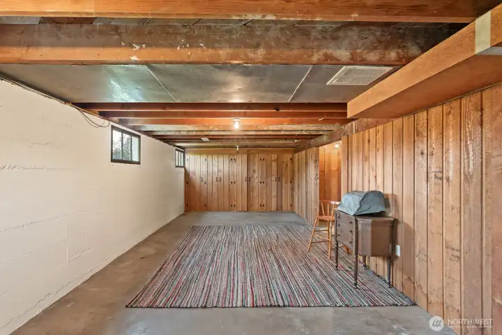 Basement with tons of built in storage