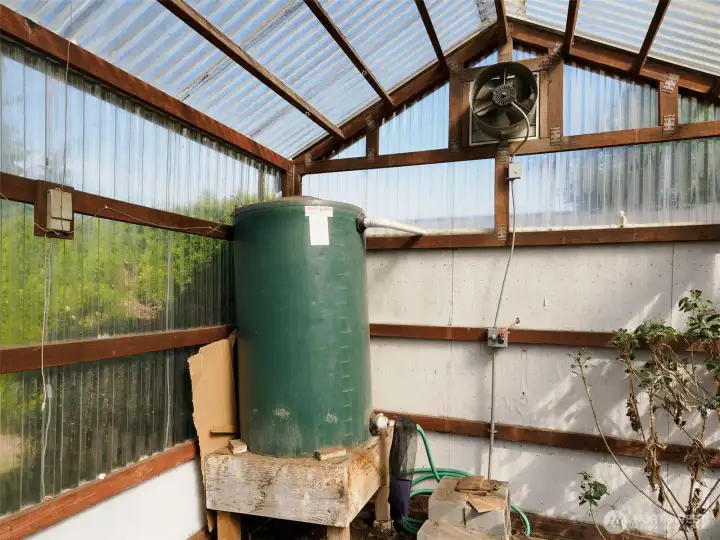 Tomatoes and Peppers into December! The water catch basin and fan make a perfect green house.