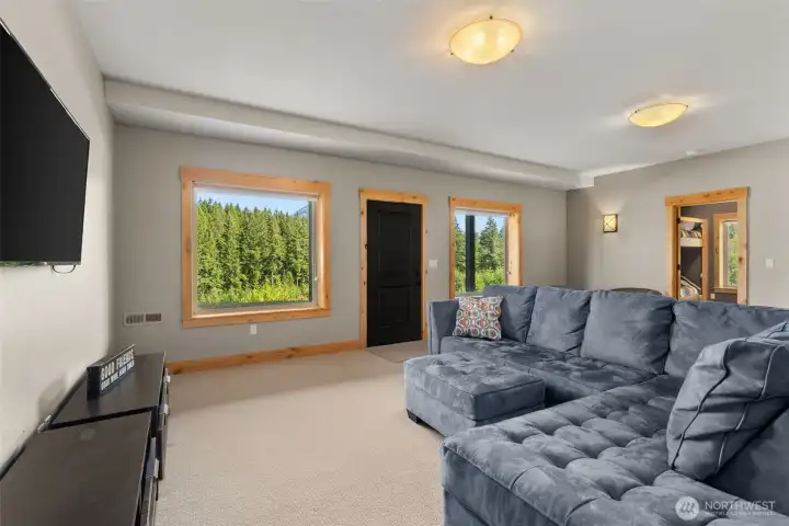 Lower level family room