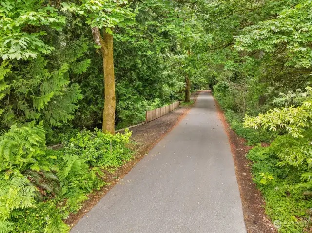 Subject property is on the left (south) side of this quiet paved road.