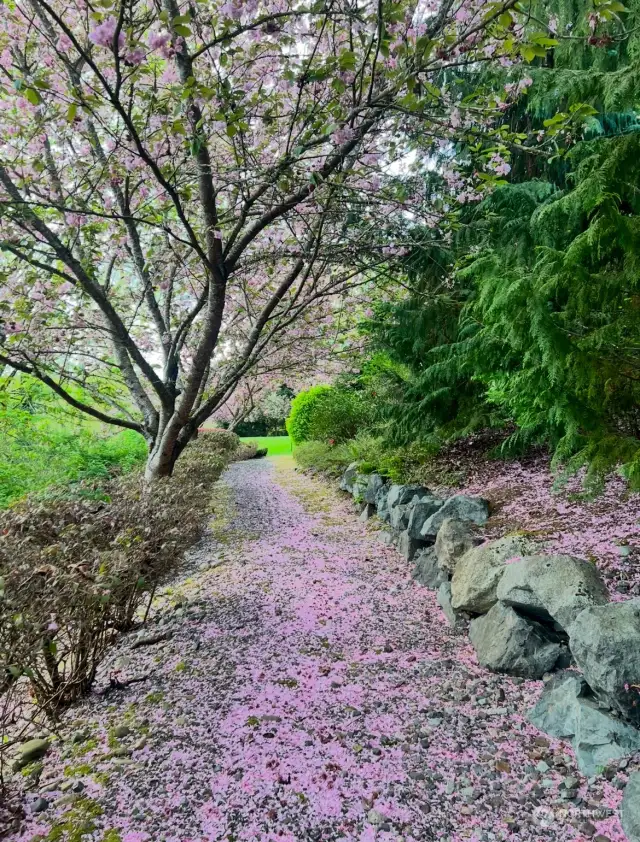 Walking trail