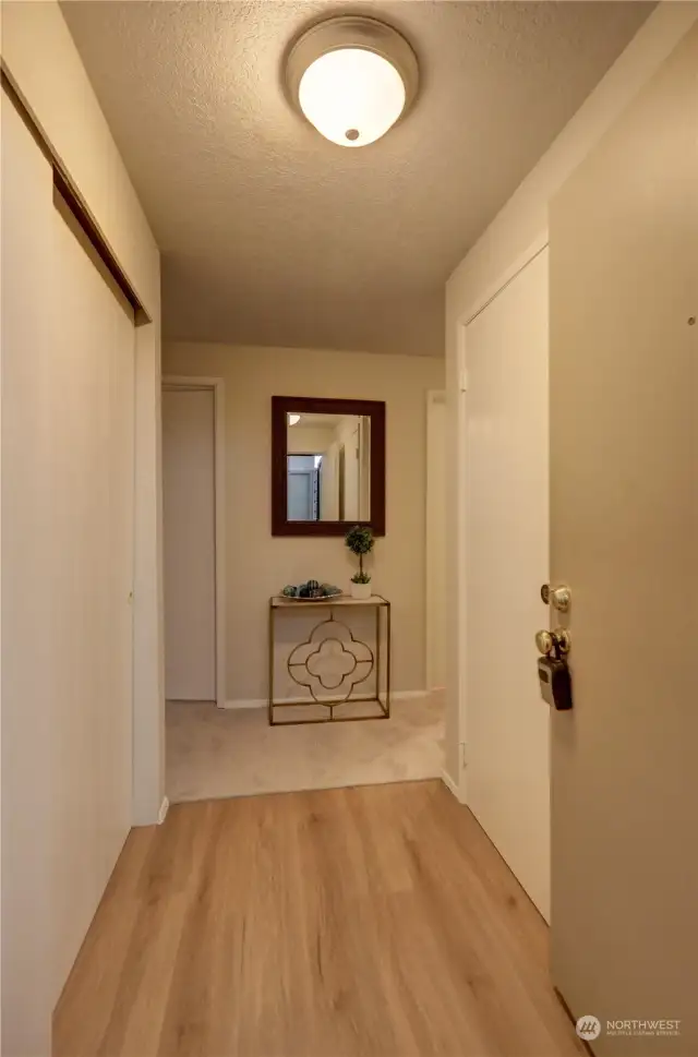 Entryway with storage/coat closet on left, laundry area on right.