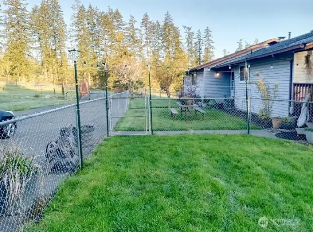 Fenced in Front Yard