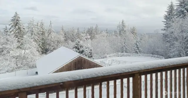Picturesque Winters