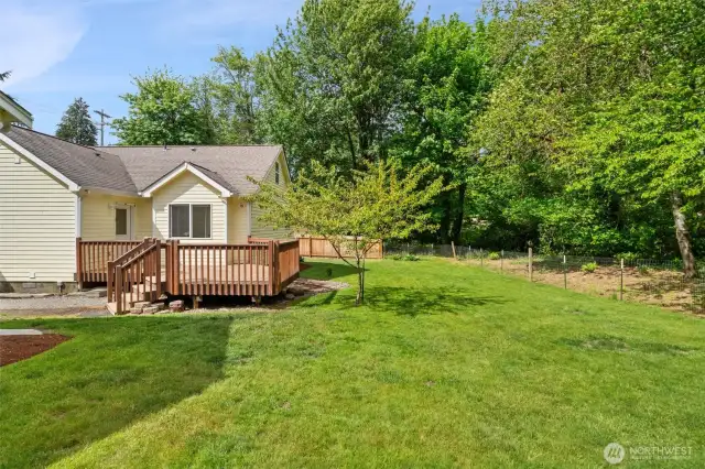 Side yard