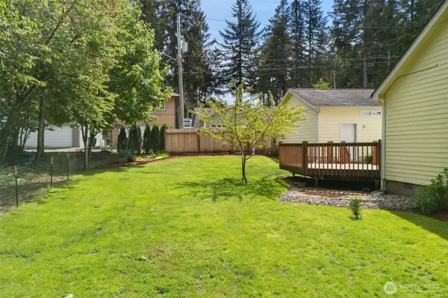 Side yard
