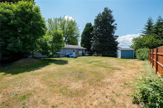 Backyard