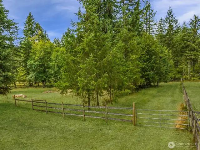View of fenced pasture area behind home.  Bring the critters!