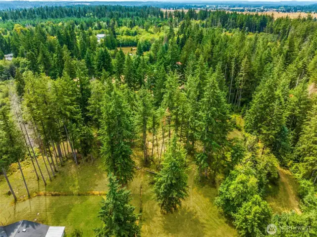 Property abuts protected Mima Mounds ensuring privacy.