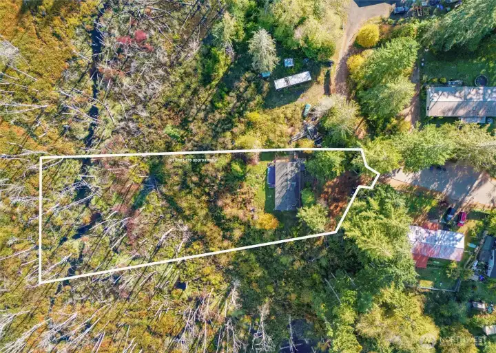 Lines are estimated