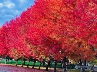 You're going to love every season of every year here at your new property.