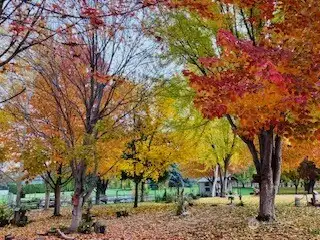Grounds during autumn.