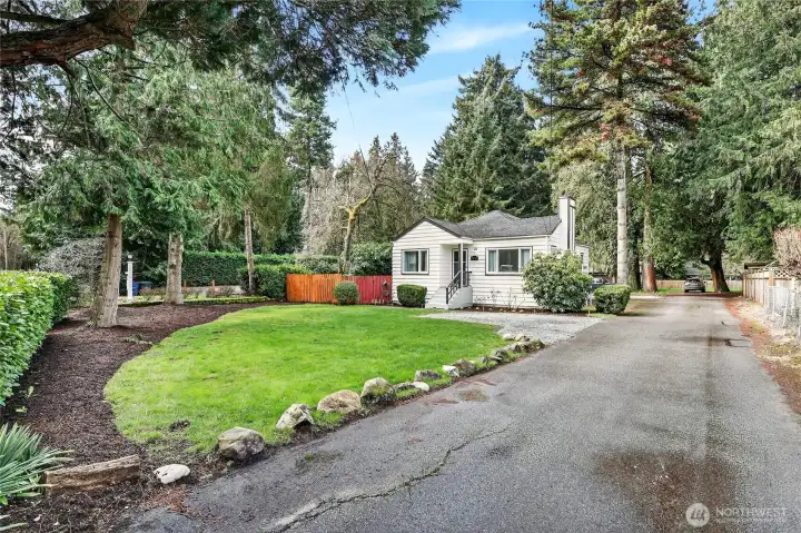 Expansive Front Yard