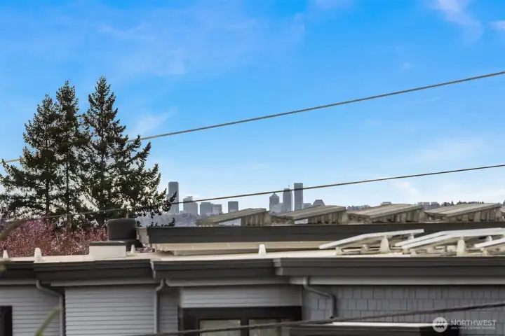 Views of Lake, Mountain, Seattle