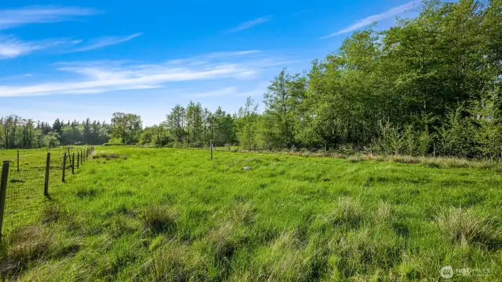 Future home will be surrounded by beautiful pasture with beautiful southern exposure.