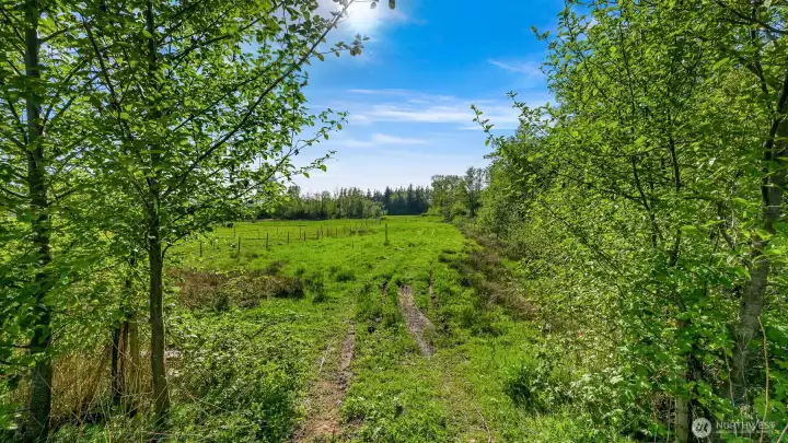 Entrance from Jones lane. Future Driveway location.