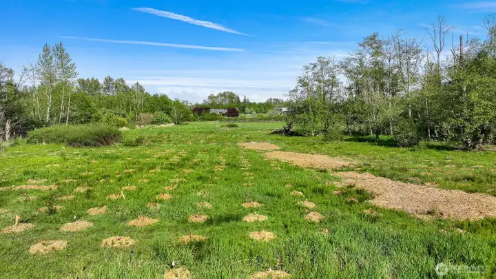 875 trees and bushes have already been planted. New owner to receive $ credit over next 4 years for already completed wetland mitigation work.