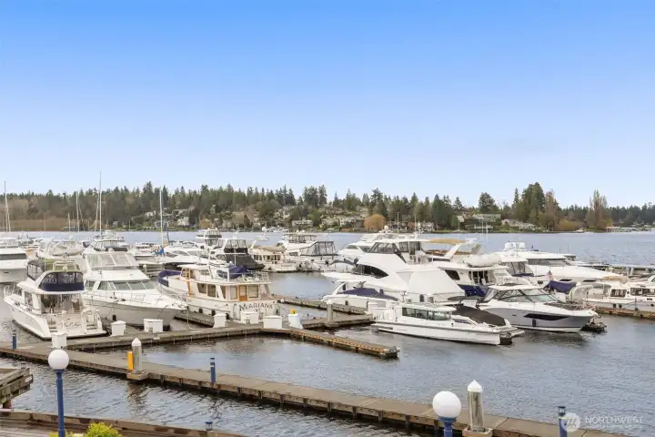 Carillon Point Marina Carillon Point Marina