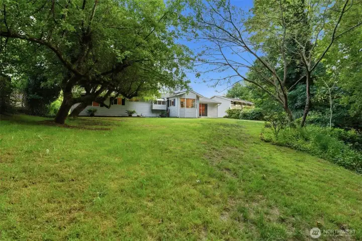 Large back yard with high yield apple trees