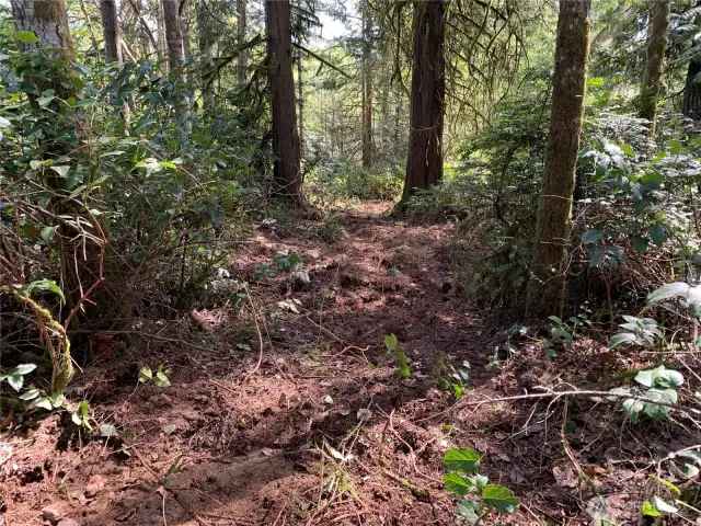Trail intersects the cat track, follow that out to the road.