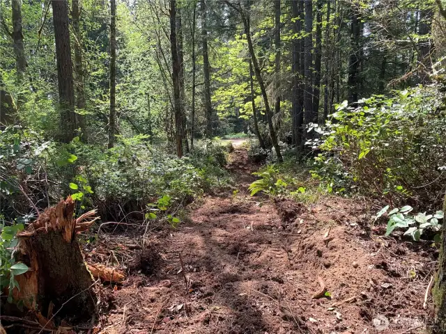 Follow this trail and you will see the locations of the septic test pits that are now filled in.