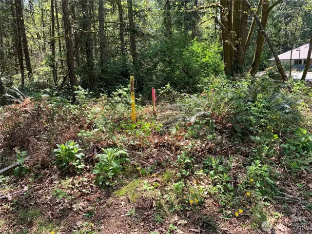 NW corner
