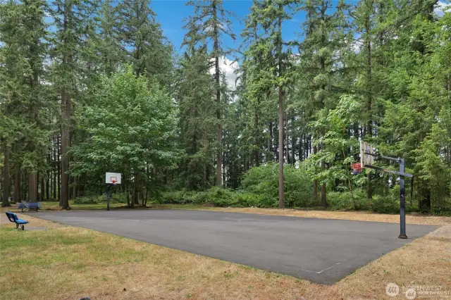 community hoops court