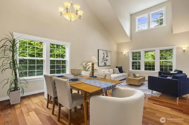 Dining and living area with tons of natural light.