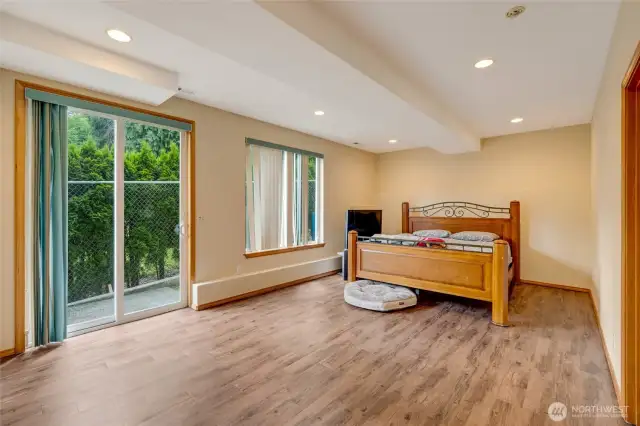 Downstairs Bonus Room