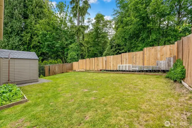 Back Yard