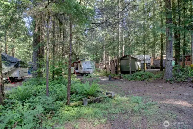 Secluded lot with lots of trees and privacy