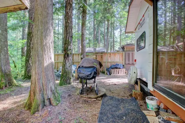Enjoy your space among the trees!