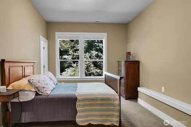 Lower level bedroom