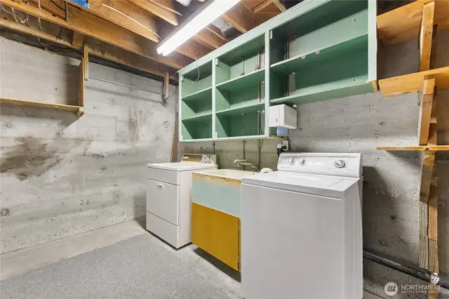 Washer Dryer in lower level