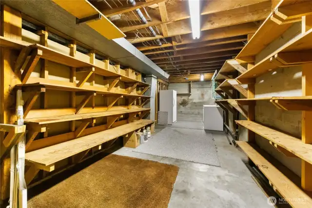 Basement Storage