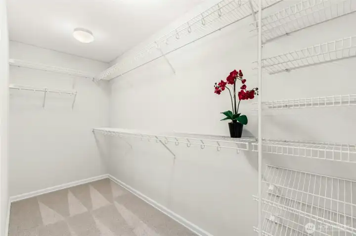 Huge Owner's walk-in closet