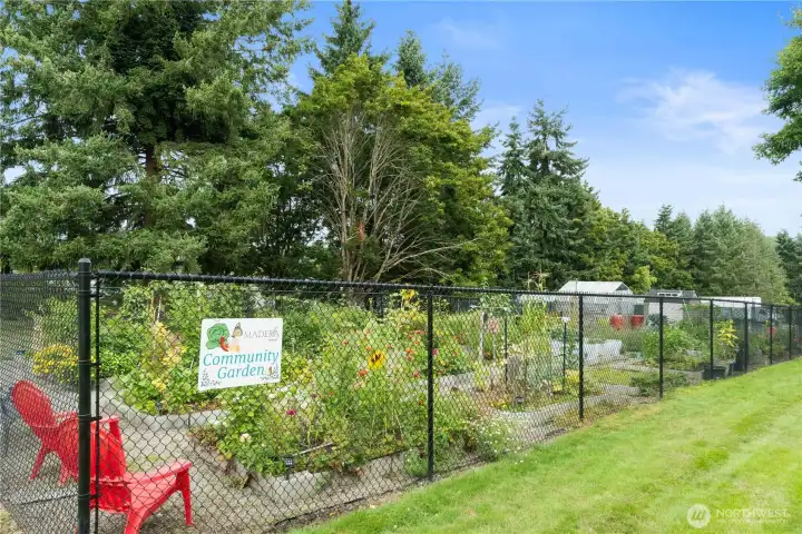 Community garden