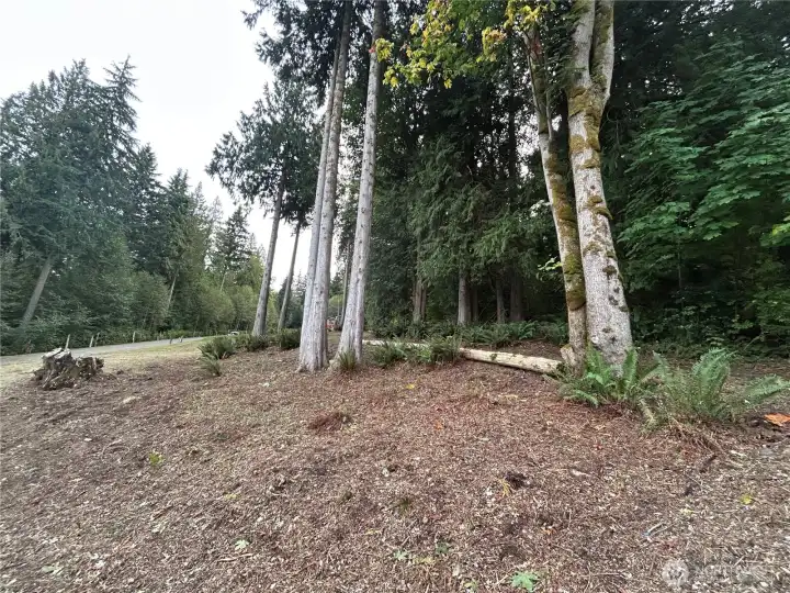 Surroundings
